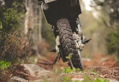 "best dual sport tires"