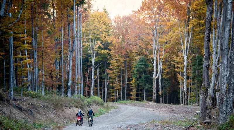 "dirt bike tire pressure for trail riding"